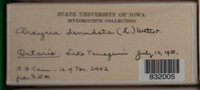 Image Associated With the Occurence